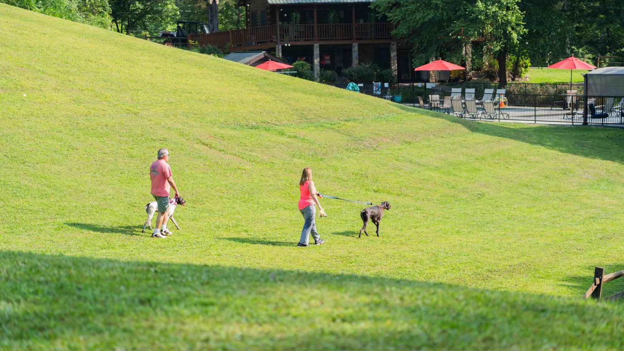 Horseshoe Hideaway Sevierville Kültér fotó