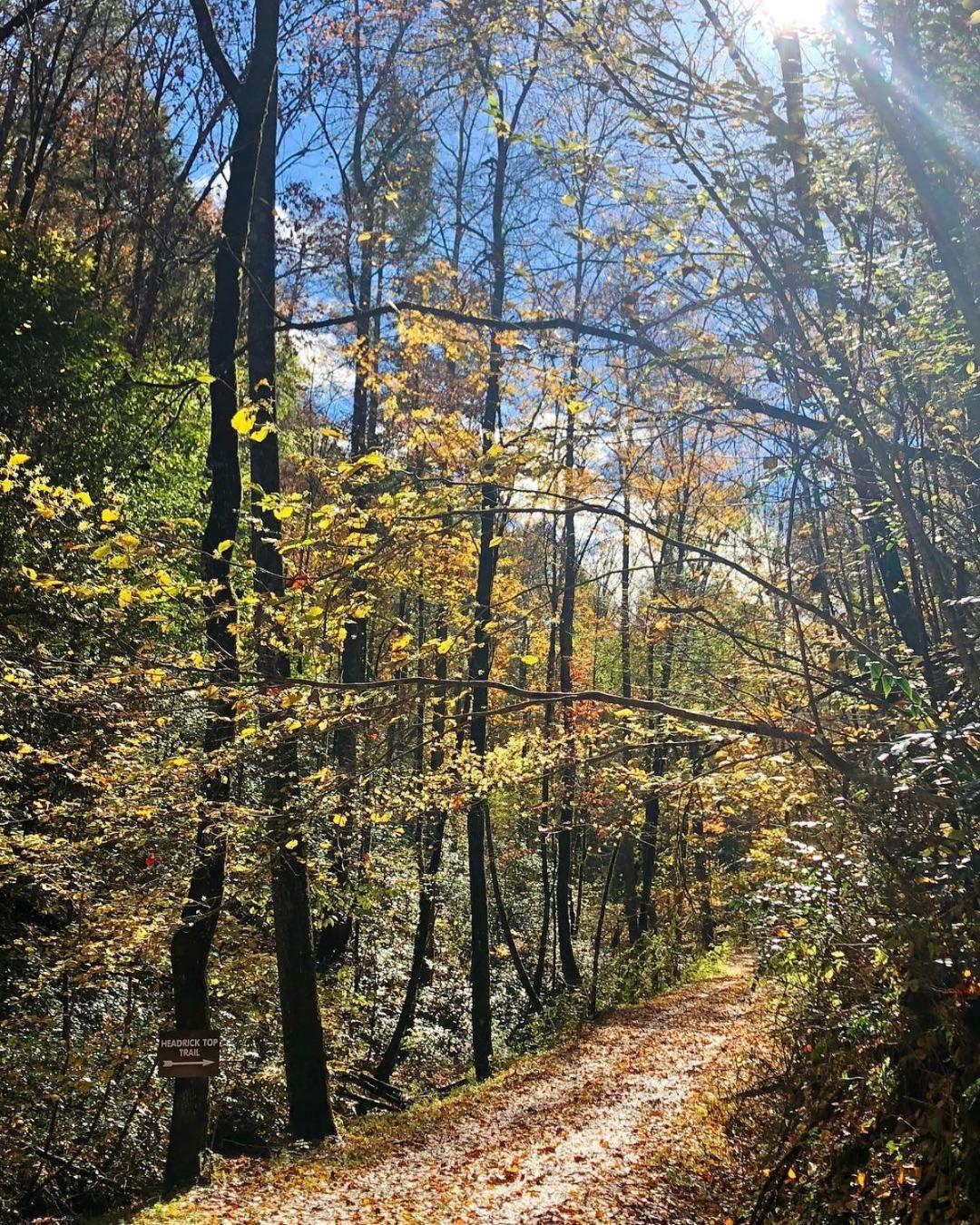 Horseshoe Hideaway Sevierville Kültér fotó